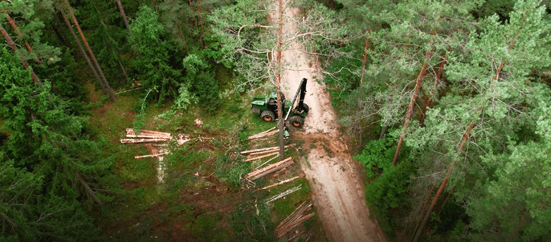 forestry and agriculture